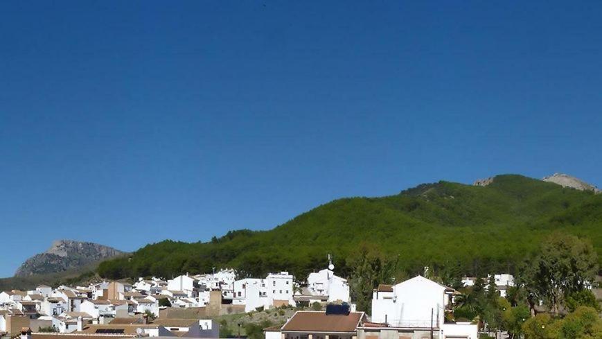 Hostal El Pinar Montecorto Dış mekan fotoğraf